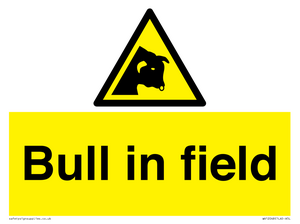 Bull in field